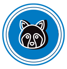 icon of a raccoon
